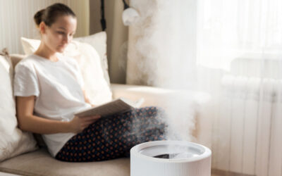Humidifiers in the Home are a Good Idea